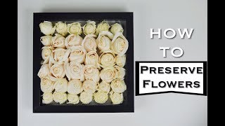 How To Make Lovely Silica Gel Preserved Roses In A Shadow Box Tulip Gold