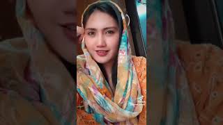 pashto songs