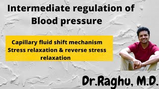 Intermediate Regulation of blood pressure | Cardiovascular physiology