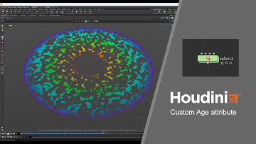 SideFX Houdini -  Custom Age attribute