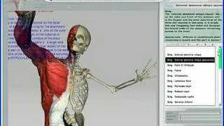 Learn Human Anatomy Made Amazingly Easy 3D Virtual Human Anatomy Studio