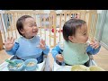 晩ごはんを食べていたら、パパが帰宅して大興奮な双子💓