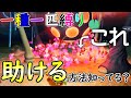【ゆっくり実況】ダマグモもパリピになる時代【ピクミン4】【一種一匹縛り】#13