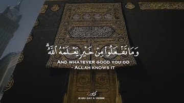 الحج أشهر معلومات 🤍 | القارئ وديع اليمني بصوت هادئ جداً 🎧 | اجمل حالات واتس اب قرآن Quran kareem