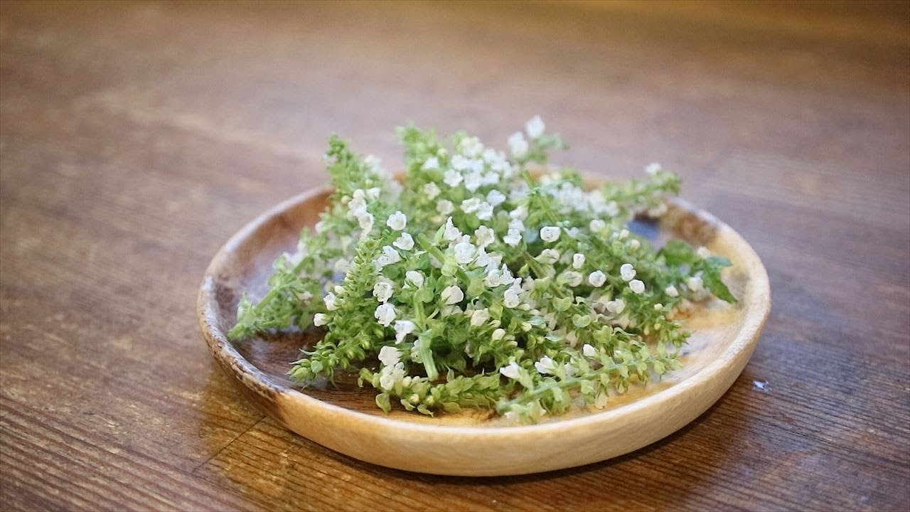 簡単料理レシピ シソの花の天ぷら Youtube