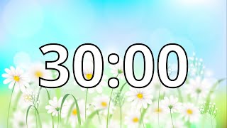 30 Minutes Timer with Music | Spring Timer