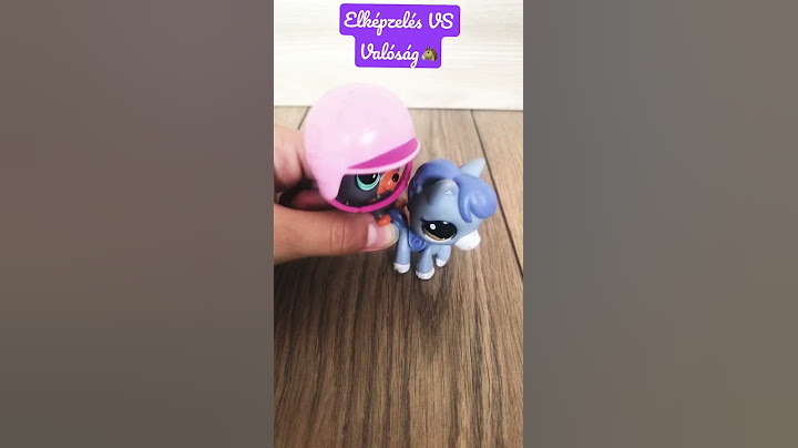 Elképzelés VS valóság 🐴🐴🐴