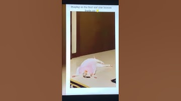 STEVEN !!! #shorts #cat #viral #shortsvideo #funnyvideo #subscribe #like