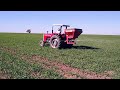 Fertilizando trigo con voladora antes del Riego MF 285