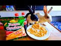 Rabbits Eating Potato Crackers -- for the First time