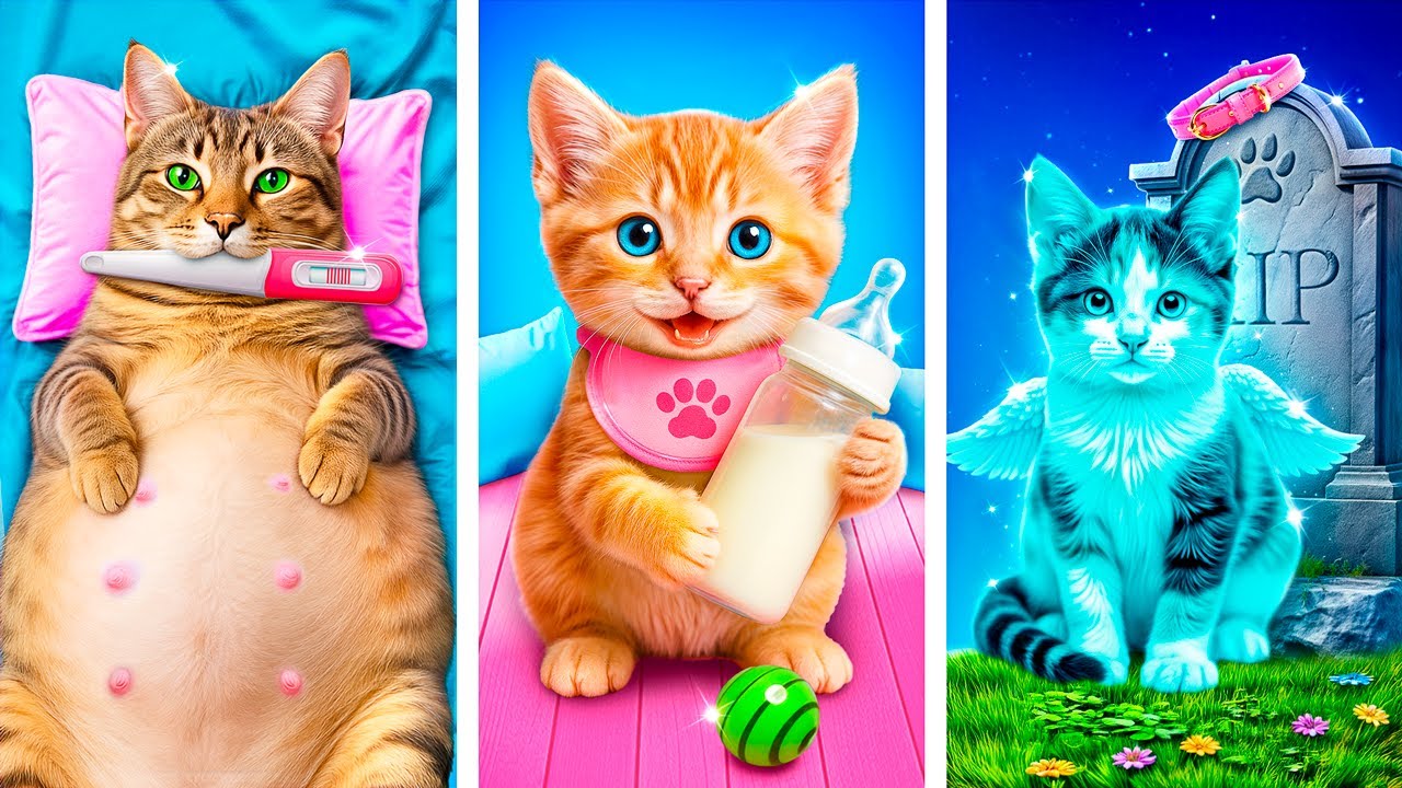 ちっちゃなネコ、うちに来た！びっくりハプニング生活♪