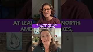 83: How to Manage Snake Bites as a Nurse and as a Patient With Guest Sealy RN