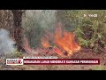 Kebakaran Lahan Dekati Kawasan Permukiman di Palangka Raya | Kabar Hari Ini