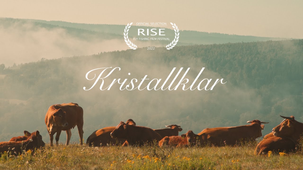 Kristallklar - A Fly Fishing Film (Official Trailer)