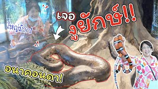 เจองูยักษ์!! อนาคอนดา แบบใกล้ชิด! ที่ Siam Serpentarium | แม่ปูเป้ เฌอแตม Tam Story