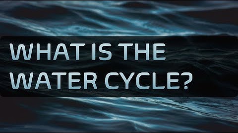 What is the Water Cycle?