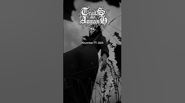 Frozen Lusters of Shattered Purity - 20 November 2025