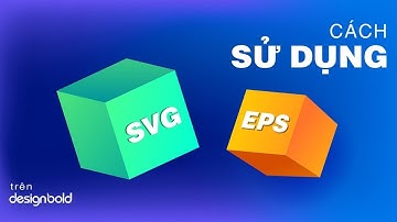 [Hướng dẫn sử dụng] Cách sử dụng ảnh SVG và EPS