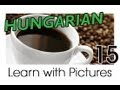 Learn Hungarian Vocabulary with Pictures - Quenching your Thirst