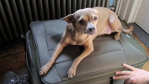 Vacation Shadow-box, Decor it Yourself