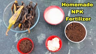 Homemade Organic NPK Fertilizer for any Plants using tea leaves, eggshells and Banana peels dust