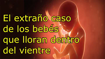 ¿Se asustan los bebés en el útero?