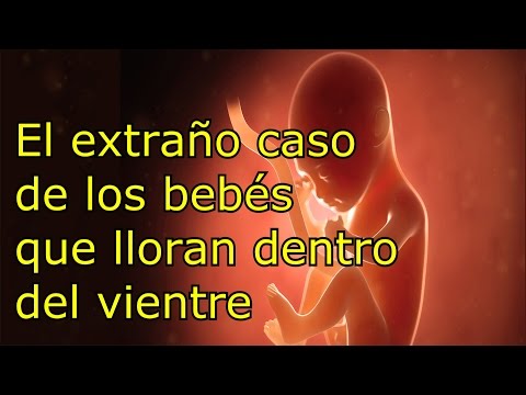 Vídeo: ¿Lloran Los Bebés En El útero? Además, Lo Que Puede Significar