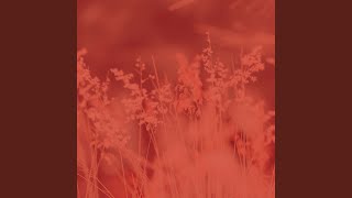 Celebrity Scintillating Music for Afternoon Relaxation Wealth