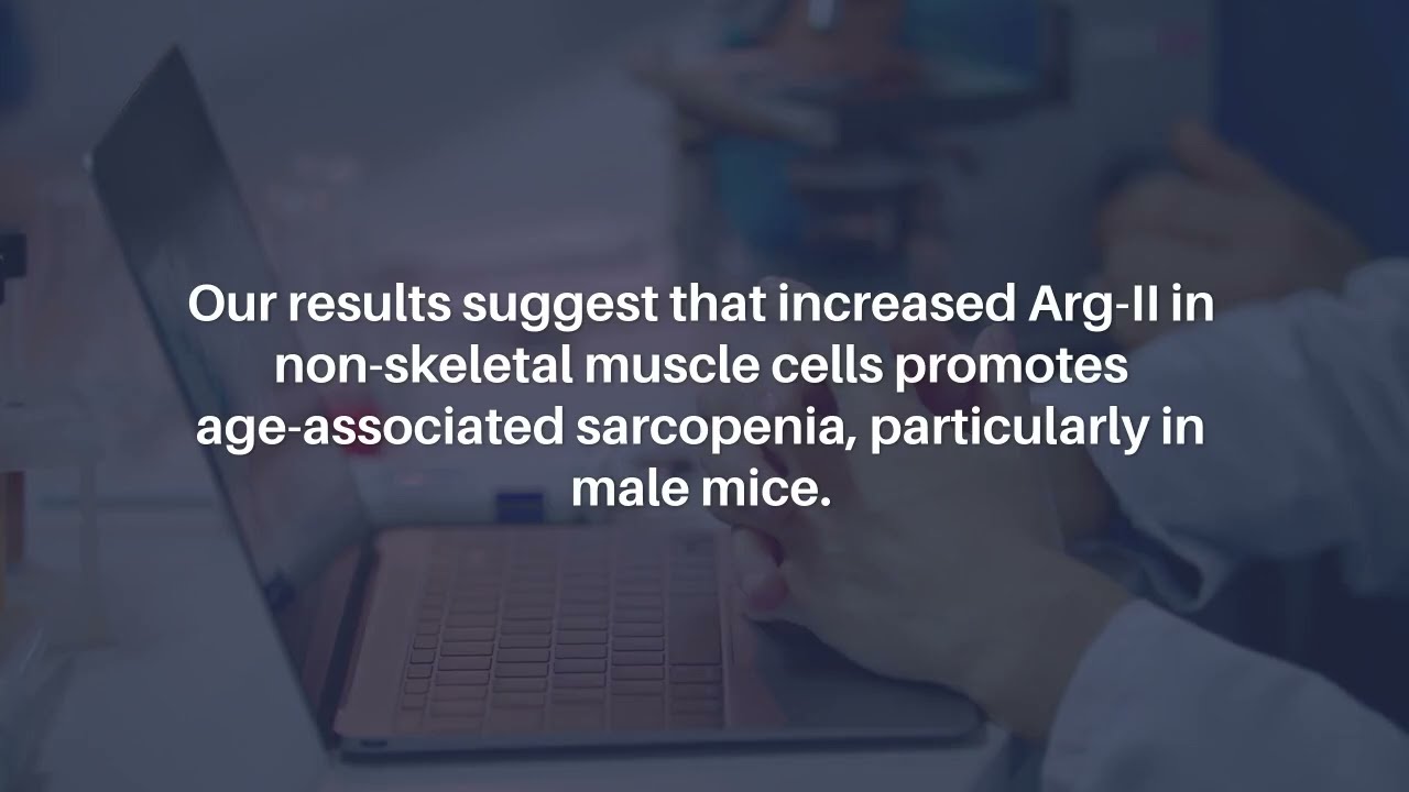 Arginase-II Deficiency Slows Skeletal Muscle Aging in Mice | Aging-US