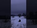 #alone