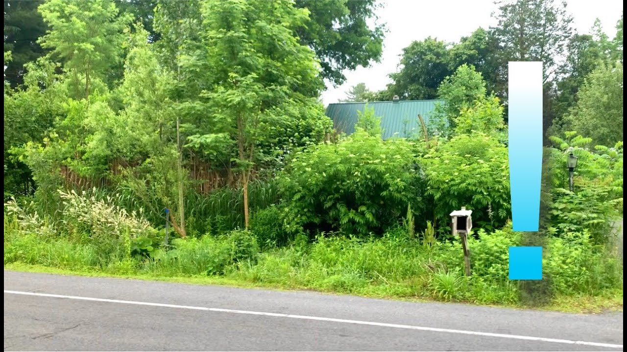 Living Wall - Getting Too Big?!