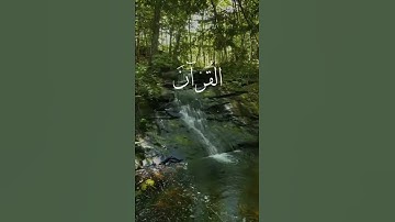 تلاوة هادئة تريح القلب💚 :::::: القارئ عبدالله الموسى