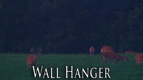 Wall Hanger | Frigid Forage Food Plot Seed