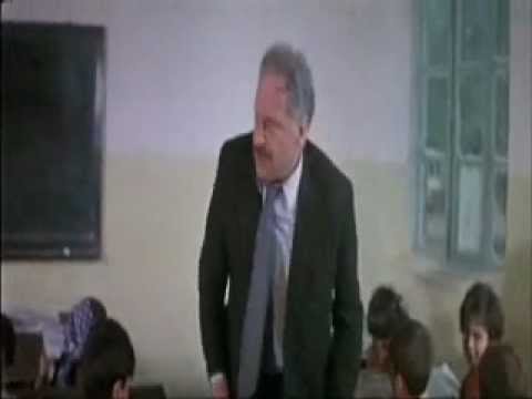 ძაღლს ჯაჭვით აბამენ