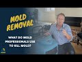 What Do Mold Professionals Use To Kill Mold?