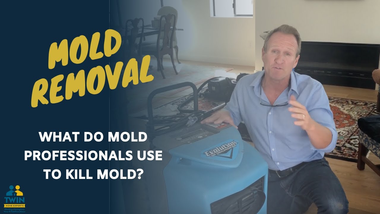What Do Mold Professionals Use To Kill Mold YouTube What Do Mold Professionals Use To Kill Mold YouTube