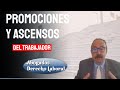 Derecho a la promoción profesional y económica