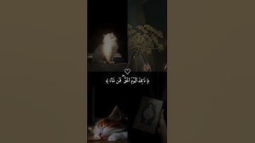 {يَوْمَ يَقُومُ الرُّوحُ وَالْمَلَائِكَةُ صَفًّا} (38 النبإ)# القارئ_عبد_الرحمن_مسعد #راحة_نفسية