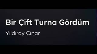 Thm - Bir Çift Turna Gördüm (Yıldıray Çınar)