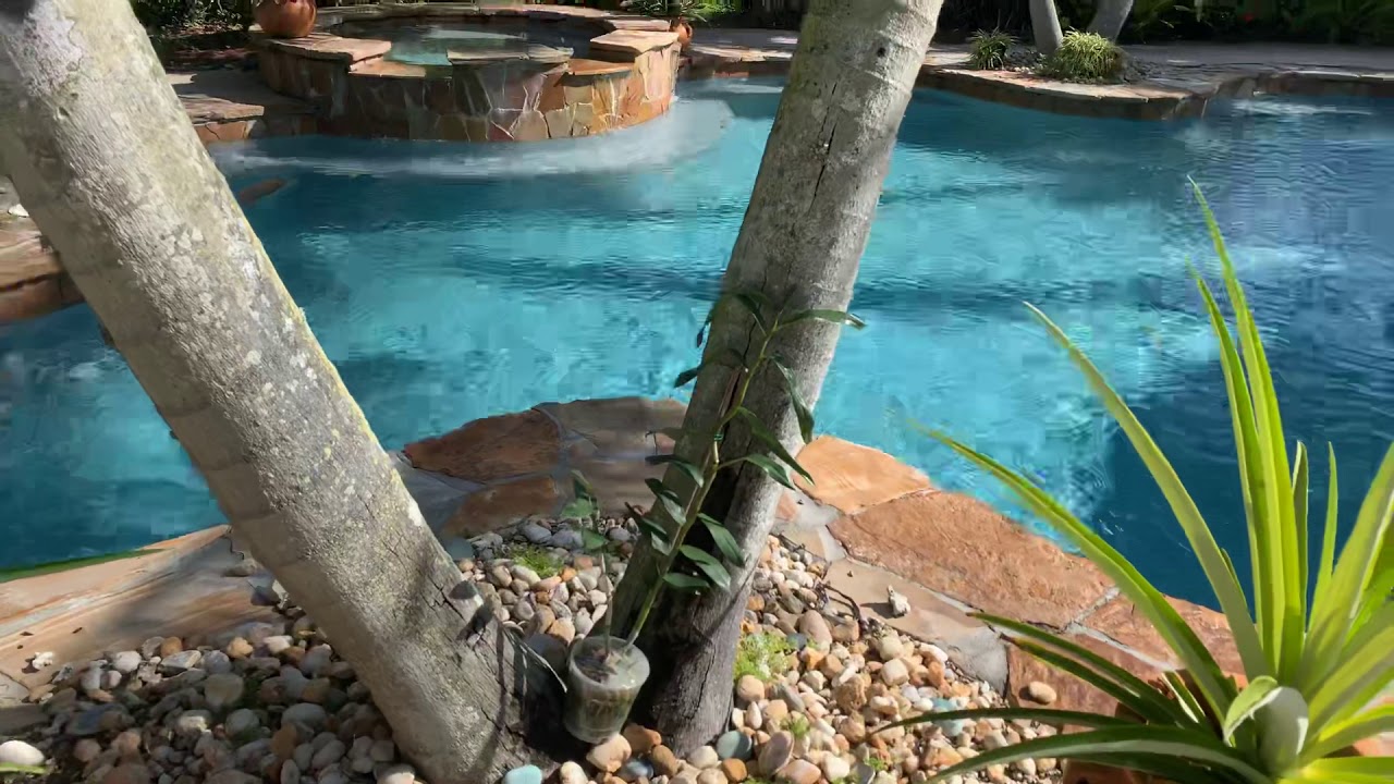 Orchid Garden Update, Mounting New Orchids 