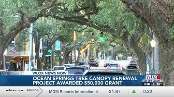 Ocean Springs Tree Canopy Renewal Project awarded grant to help restore and protect native trees