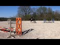 Cheval à vendre - Karma du Pin - CSO - Hongre 6ans - 20k€ - Vidéo 3 - equirodi.com