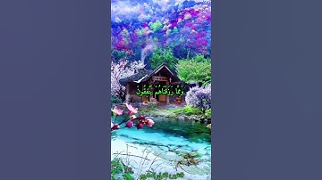 سورة الحج القارئ عبد الباسط عبد الصمد( وَبَشِّرِ الْمُخْبِتِينَ الَّذِينَ إِذَا ذُكِرَ اللَّهُ