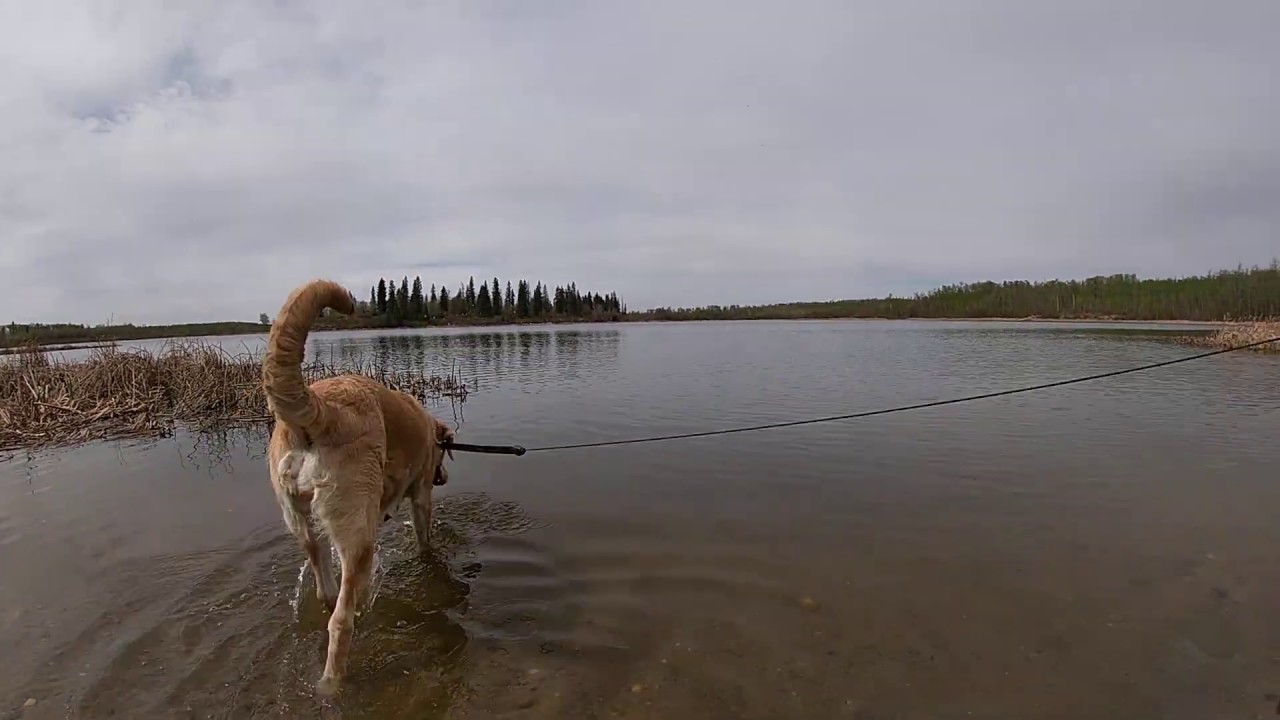 Islet Lake timelapse