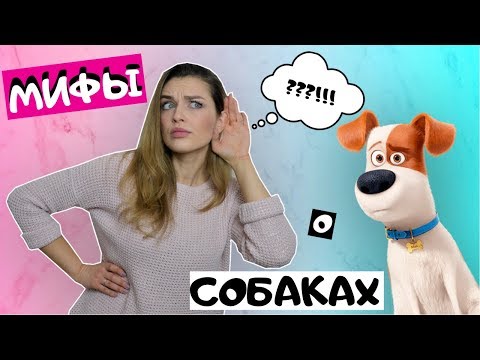 МИФЫ И СЛУХИ О СОБАКАХ И ИХ СОДЕРЖАНИИ