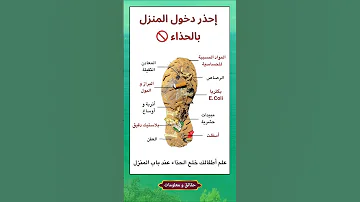 إحذر دخول المنزل بالحذاء New اكسبلور ترند لايك هل تعلم معلومات News 