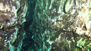 Devil's Ear Exiting at Ginnie Springs, Fl.
