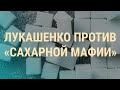 "Сахарное дело" в Беларуси | ВЕЧЕР | 05.02.20