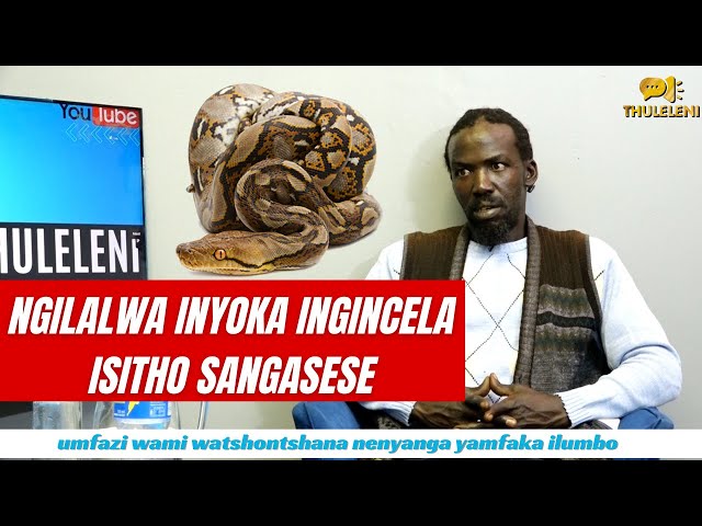 Ngincelwa inyoka isitho sangasese kuze kuphume isidoda, umfazi walala nenyanga yangifaka ilumbo class=