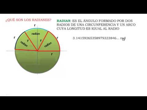 Que son los microlotes forex